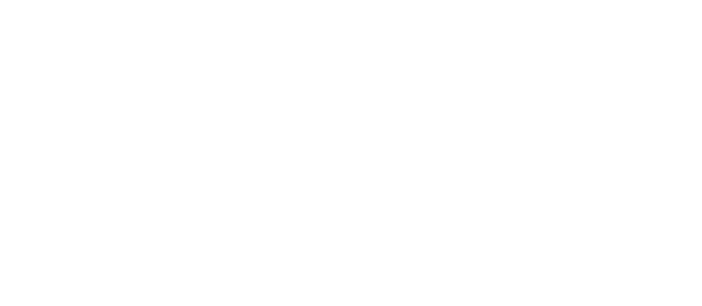 Alianza team